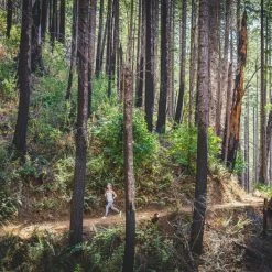 Altra Lone Peak 6 Trail-Running Shoes - Women's -Cheap New Balance Store 83d347de d8ba 4b7d aaa8 512107445f46